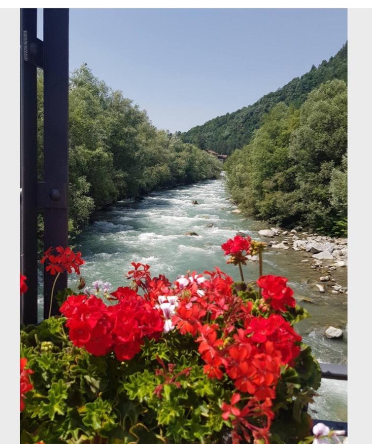 Marilleva 1400 Tra Sport E Natura المظهر الخارجي الصورة